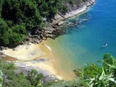 Cajaiba