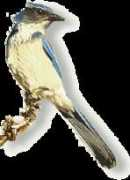 Cajay