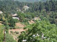 panoramio.com Cakiroglu
