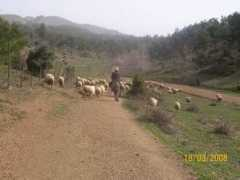 panoramio.com Cakiroglu