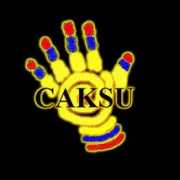 k-state.edu Caksu