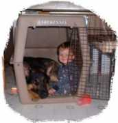 shepherdglenk9.com Calebs
