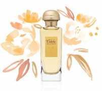 spain.hermes.com Caleche