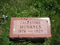 rootsweb.ancestry.com Calestine