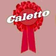 sandlinewhippet.com Caleto