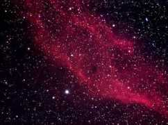 astrobirdphoto.com Calfornia