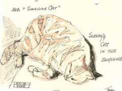 watercolorjournaling.com Calicat