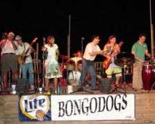 bongodogs.com Caliche
