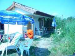 info-delta.ro Califar