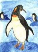 Calinina