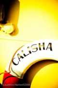 newlynharbour.co.uk Calisha