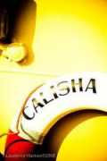 newlynharbour.co.uk Calisha