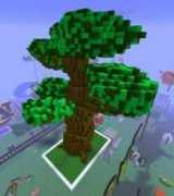 Callae