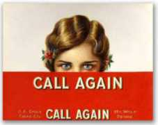 Callagain