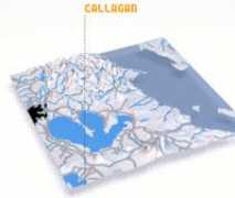 nona.net Callagan