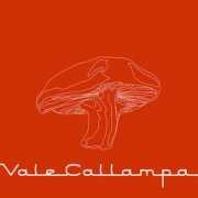 Callampa