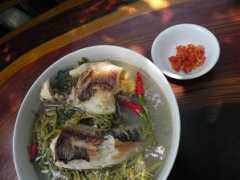 tinmoi.vn Caloc