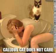 americasbestmyspacecomments.com Calous