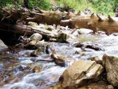 panoramio.com Caluk