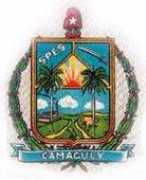 Camagu