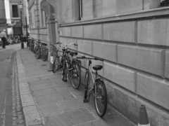 Cambidge