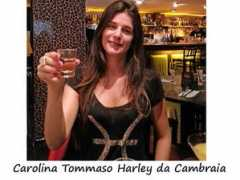 vinhoegastronomia.uol.com.br Cambraia