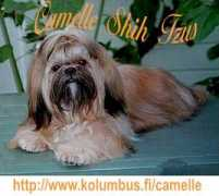 Camelle