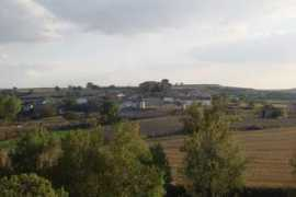 Cameno