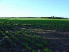 tierrasycampos.com.ar Camet