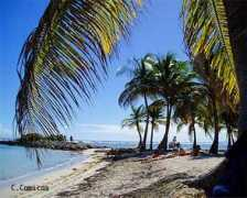 infoantilles.com Camicas