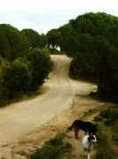 jpgmag.com Camins