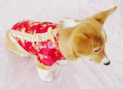 lovelonglong.com Camlet