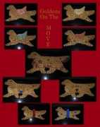 dogwebs.net Camlin