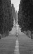 Camminando