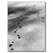 zazzle.se Camoen