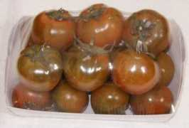 Camone