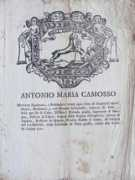 Camosso