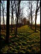 Campagna