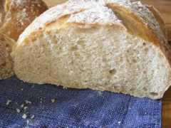 thefreshloaf.com Campagne