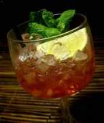 amountainofcrushedice.com Campari