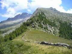 panoramio.com Campel