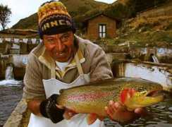 archive.peruthisweek.com Campesino