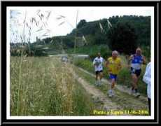 Campi