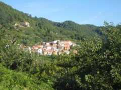 terredilunigiana.com Campiglia