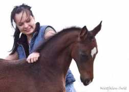 equestrian.ru Campita