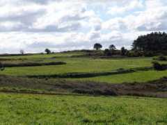 Campos