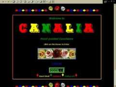 jim-shead.com Canalia