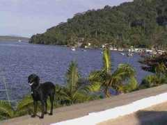 Cananeia