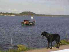 Cananeia