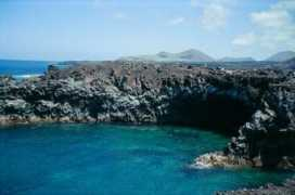 Canarie